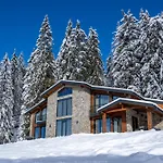 Chalet Pamporovo 别墅 *