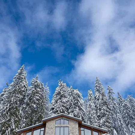 Chalet Pamporovo Луксозна вила Пампорово