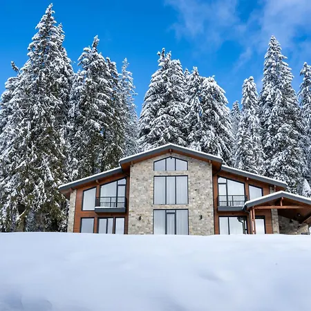 Chalet Pamporovo * פמפורובו