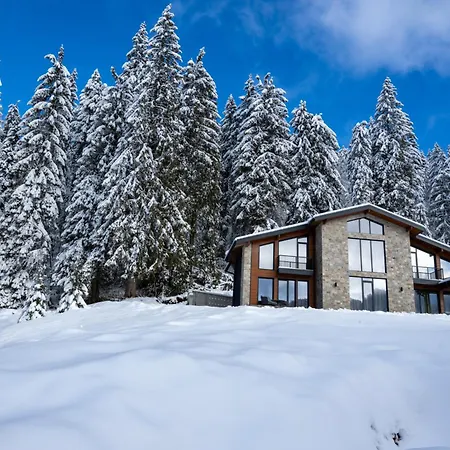 וילה Chalet Pamporovo *