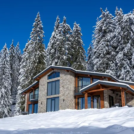 Chalet Pamporovo パンポロボ