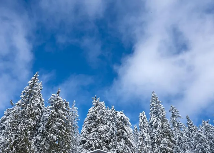 Chalet Pamporovo ヴィラ パンポロボ