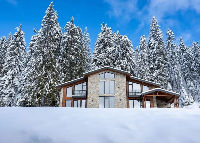 Chalet Pamporovo * パンポロボ