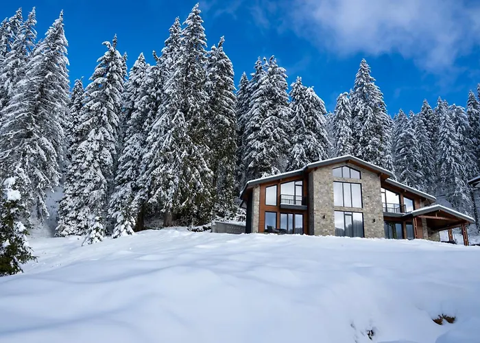 ヴィラ Chalet Pamporovo *