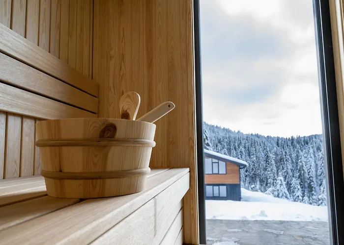 Chalet Pamporovo ヴィラ *