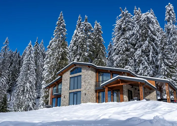 Chalet Pamporovo ヴィラ *